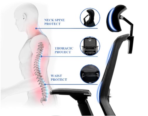 spine protection ergonomic office chair diagram