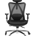 Duramont Ergonomic Office Chair with Lumbar Support