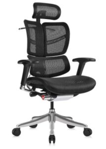 MOOJIRS Ergonomic Office Chair with Headrest