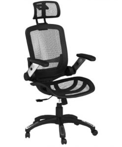 Gabrylly Ergonomic Mesh Office Chair